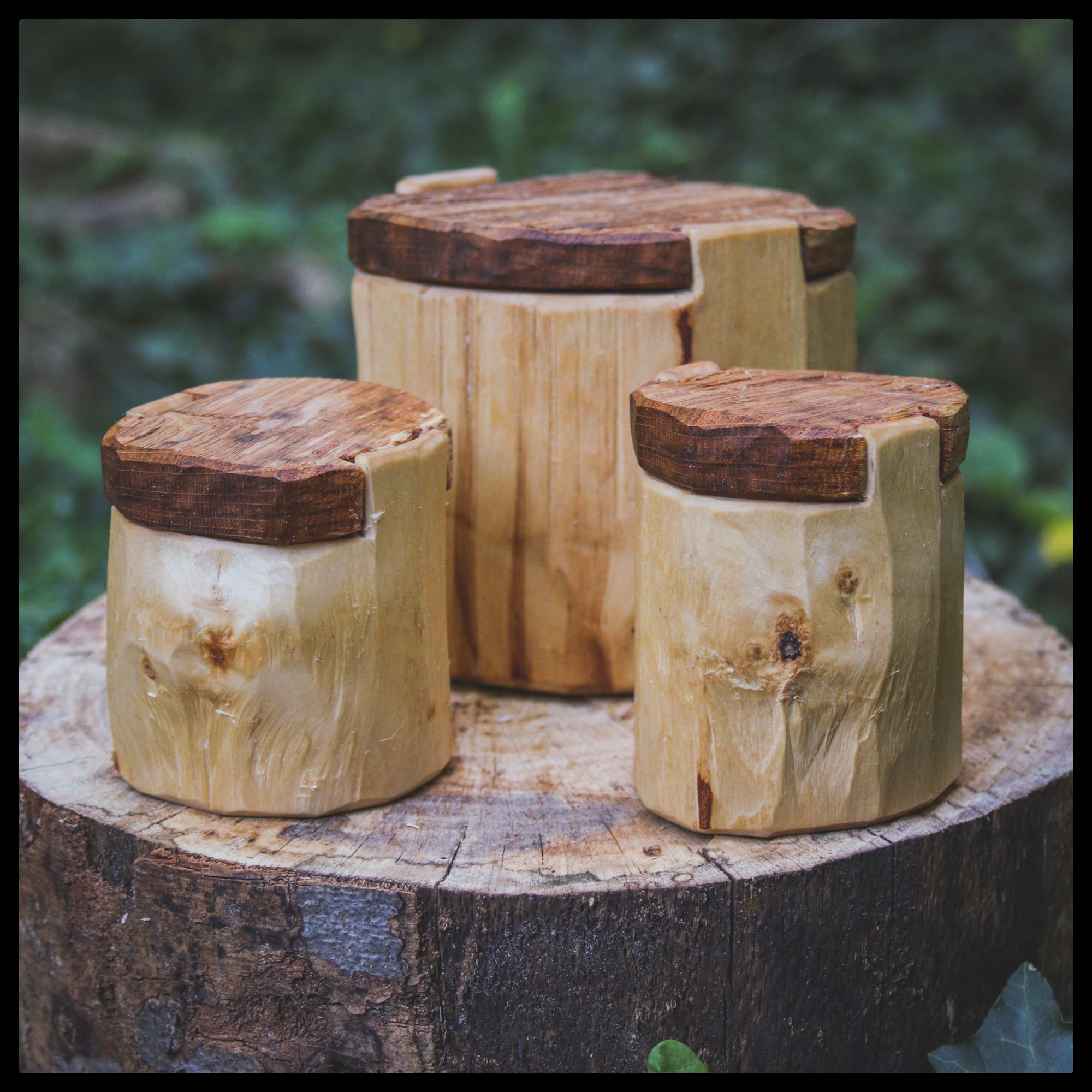 IMG_0438_edited IMG_0438_edited